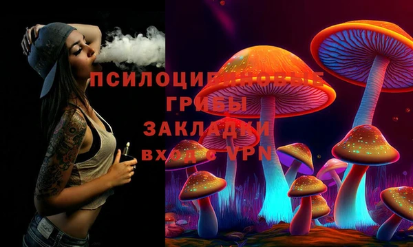 СК Аркадак