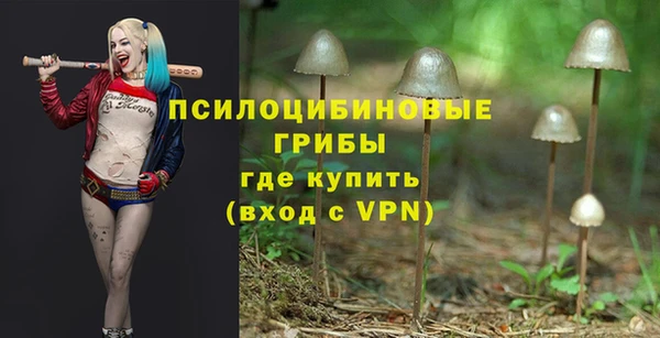 СК Аркадак